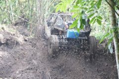 photo_6059710641884739523_y