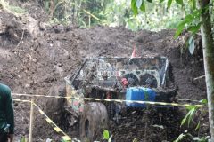 photo_6059710641884739528_y